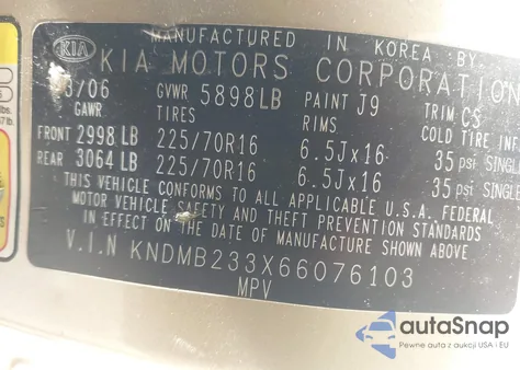 2006 Kia Sedona Ex/Lx из США, поврежденный, VIN KNDMB233X66076103